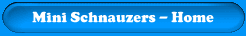 Miniature Schnauzer Puppies- Home Page
