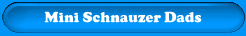 Miniature Schnauzer Studs Our Proud Schnauzer Sires Pages!