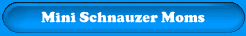 Miniature Schnauzers Our Proud Schnauzer Moms Pages!
